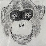 82655【サル】一般社団法人社会福祉支援研究機構 蓮
