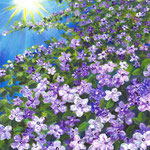 80389【香りに包まれて】工房はんど 工房はんど　Yuki