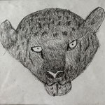 82284【ヒョウ】一般社団法人社会福祉支援研究機構 蓮