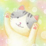 82025【希望に満ち溢れた猫】 Cano