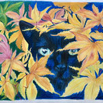 1425「黒猫の森【秋】ー１」作者：UkoNyan