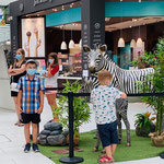 exposition safari centre commercial 
