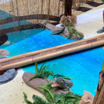 exposition safari centre commercial 