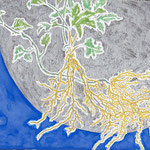 「植物と月－青ーヨコ」　2016 /銀泥、岩絵の具、アクリル、カンヴァス/　227㎜×158㎜