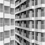 Februar: Fensterreich