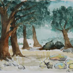 Olivenhain, Aquarell (2026)