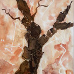 Baum 2012 (Privatbesitz)