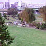 河川敷のゴルフ場