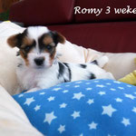 Romy 3 weken oud