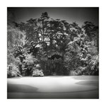 Bois de Boulogne - LaGrande Cascade - Etude II - © jérôme Le Tellier 2010