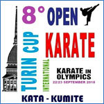 Open Turin Cup - torino