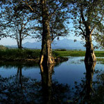 Lago de Yojoa