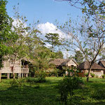 Río Plátano