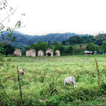 Copán