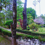 El Picacho - Tegucigalpa
