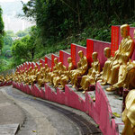 10000 Buddha temple