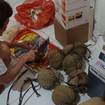 Durian, Stinkfrucht