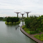 Gardens by the bay