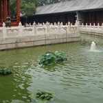 Konfuzius Tempel / Confucius temple