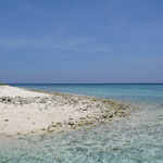 Vogel Insel im Norden von Labuhan Bajo / Bird island, North of Labuhan Bajo