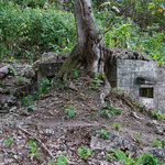 Japanischer Bunker aus dem Zweiten Weltkrieg /  Japanese fort from the second World war