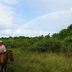 Reitstunden im Sumpfgebiet mit Regenbogen / Horseback riding at the swamp with rainbow