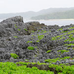 Cape Hedo, nördlichster Punkt / Cape Hedo, northernmost point