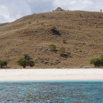 Strand auf der Insel Komodo / Beach at the Komodo island