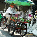 Green-Mango Bangkok Touren: Chatuchak Pflanzen Markt