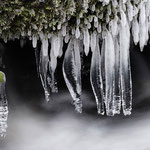 Florian Heigenhauser