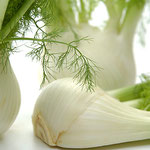 Fenchel