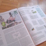 "SchönGesund" 14-tägige Gesundheitsbeilage der Berliner Zeitung | Titelgeschichte |  Auftraggeber: mds Creative GmbH | Ausgabenbezogene gestalterische Mitarbeit