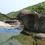 Elephant Spring, Easy Riding with Uncle Nine
