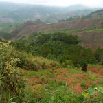 near Kon Tum, Easy Riding with Uncle Nine