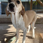 Naila: Sie wurde mit seinen Geschwistern auf der Straße ausgesetzt