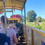 Urlaub: mit der Schmalspurbahn im offenen Wagen rumpeln wir an den Balaton