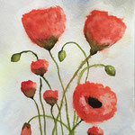 Mohnblumen 2, Aquarell auf Papier, 32 x 24 cm