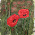Mohnblumen 3, Aquarell auf Papier, 24 x 24 cm