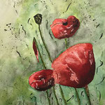 Mohnblumen 5, Aquarell auf Papier, 32 x 24 cm