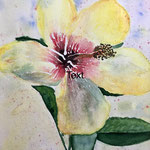 Hibiskus, Aquarell auf Papier, 32 x 24 cm