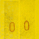 cells, Radierung/ etching