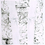 bones