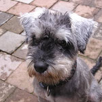Emmi - Sky's beste Freundin und erste GROSSE Liebe!