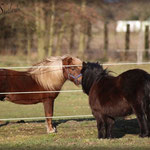 Burschi & Bonny