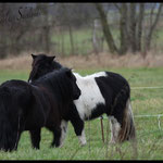 Elvy & Bonny