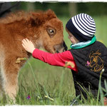 Coolstep Renesmee 27.04.14