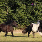 Bonny & Elvy