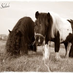 Bonny & Elvy