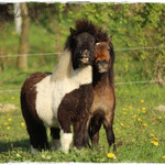 Ingo & Aslan 20.04.14