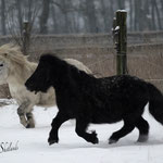 Virgina & Bonny